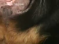 Guy blowing mans most excellent friend